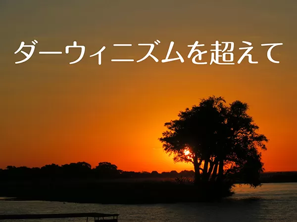 楽天ブックス: 進化をたどる7億年の旅 - 太古のいきものを探しにいこう - ジョン・ウッドワード - 9784309254180 : 本